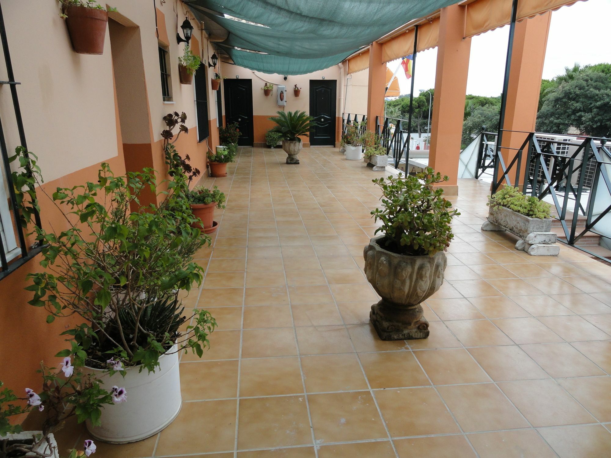 Hostal La Campa Chiclana de la Frontera Eksteriør billede